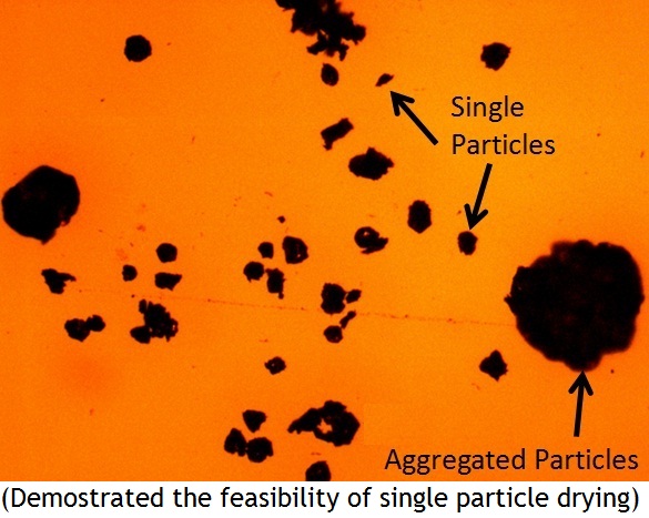 feasibility of single particle drying